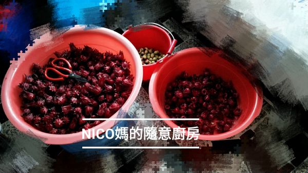 先大概用清水沖洗一次稍微洗掉一些螞蟻、蟲子、灰塵等雜質！撈起備用
然後就要做最麻煩的去子動作了😅