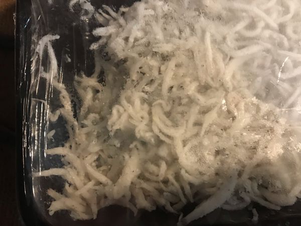 吻仔魚洗淨備用。