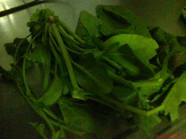 最後加菠菜(隨個人選擇配菜)穿燙,起鍋加香菜.