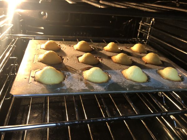 送進烤箱烤8-12（小瑪德蓮烤8分鐘，大的烤10-12），烤到上色出爐