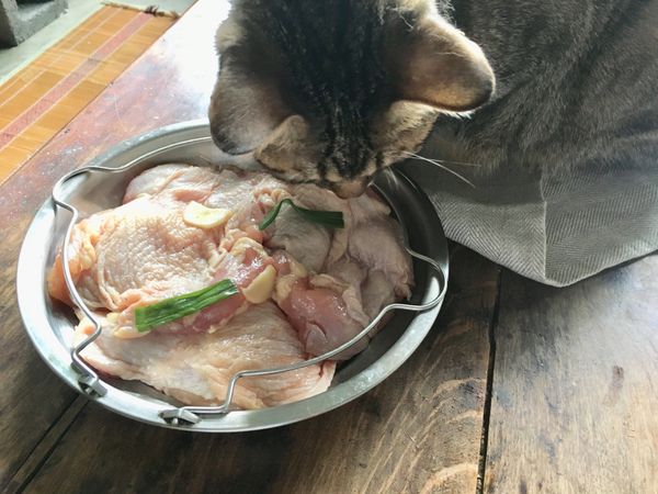 置於蒸盤，放入電鍋，外鍋加1杯水蒸至開關跳起，續悶10-20分鐘，取出雞肉瀝掉雞汁（瀝出的雞汁別浪費，可用來炒菜或煮湯。）

貓咪亂入請忽視牠😂