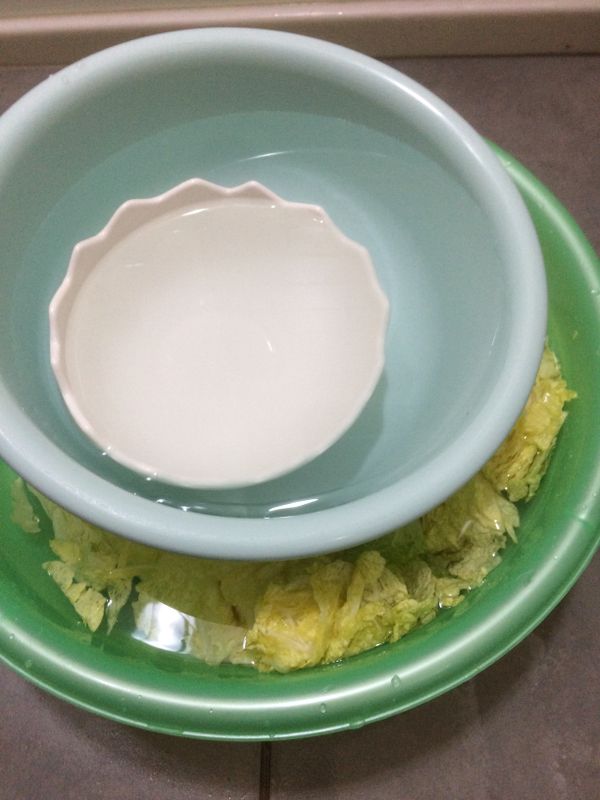 以10:1的鹽水泡白菜，再以重物壓著，8-10小時。