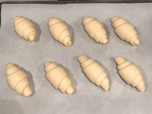捲好的麵糰整齊放在烤盤上,彼此間要留足夠空間.
放在溫暖的地方進行二次發酵,50-60分鐘.