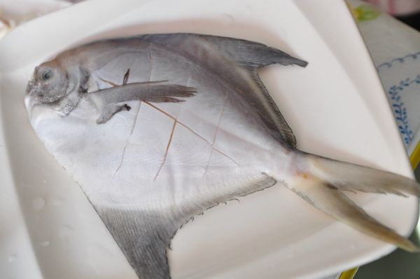 一夜干為真空包裝存放冷凍庫，商品已經醃漬處理，不需再調味，解凍後請勿沖水，如果再遇水，會將魚的水分再釋出，而影響到風味!!