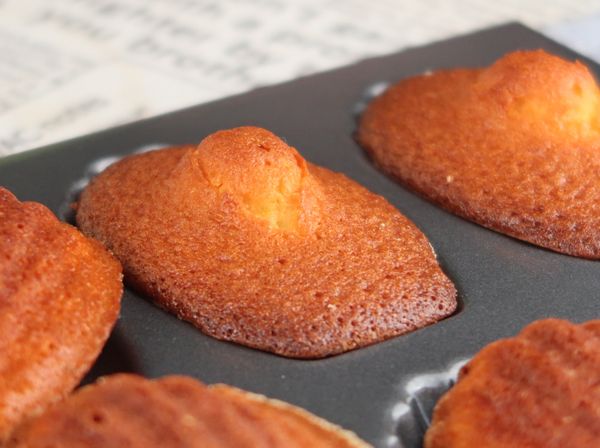 這個配方用一般瑪德蓮的模具（淺貝殼狀）大概可以做15顆左右