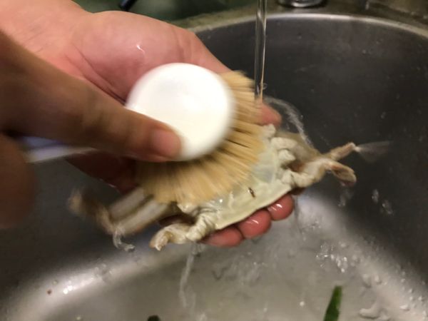 正反兩面蟹腳都用刷子刷過清洗。