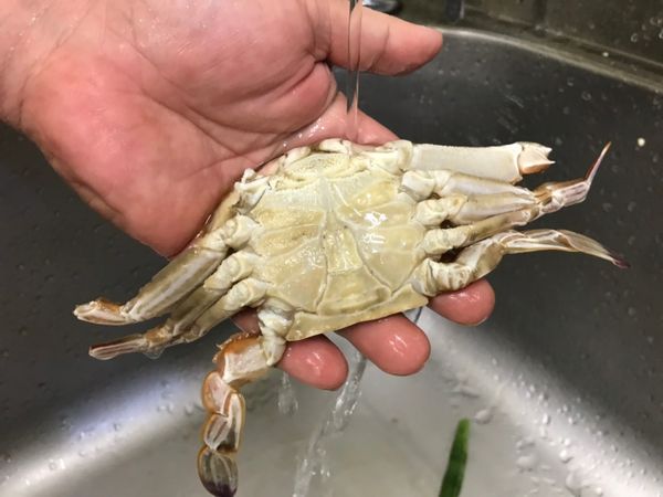 清洗後和清洗前的差異很明顯。