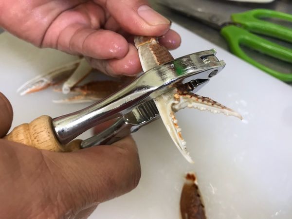 再用蟹夾把蟹腳給稍微夾破。