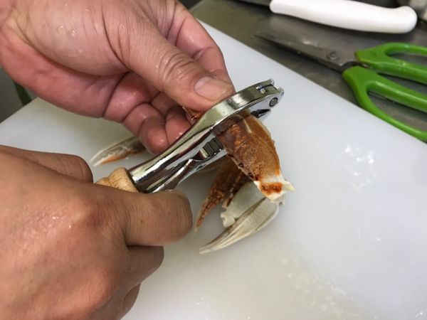 再用蟹夾把蟹腳給稍微夾破。