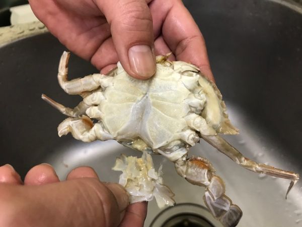 螃蟹腹部那片不要。