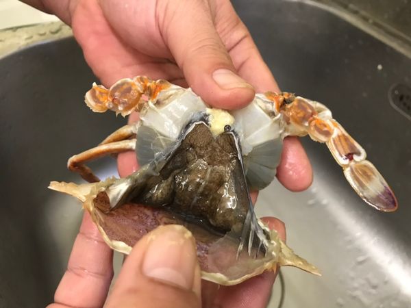 撥開蟹殼。