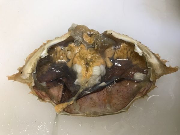 因為是當季的扁蟹，所以特別肥美有蟹膏。