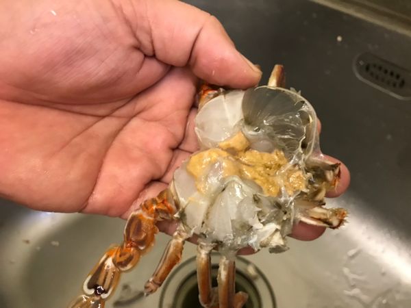 因為是當季的扁蟹，所以特別肥美有蟹膏。