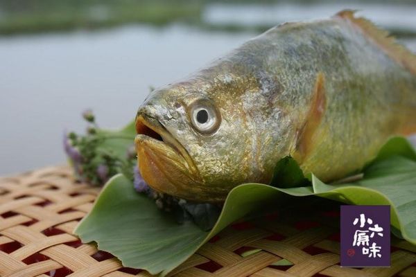 來自宜蘭小六精選黃魚，真空包裝整包泡入水中，即可快速解凍!