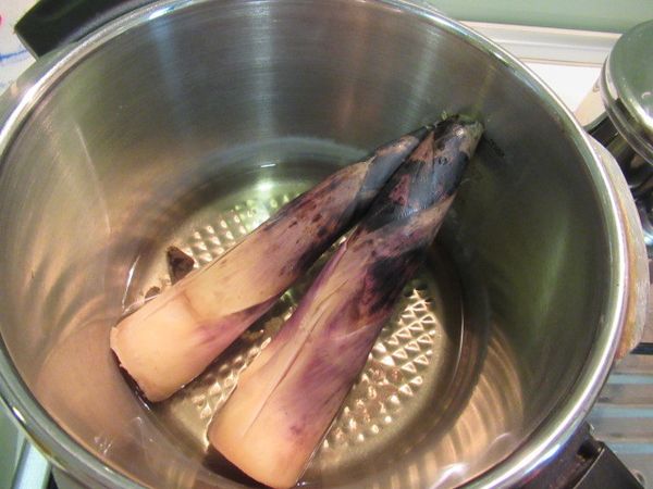 隔天取快鍋放入步驟1與200cc水(分量外).若不會蓋,切掉尖端.加壓2分鐘熄火待洩壓.完全涼了剝皮切粗條備用.