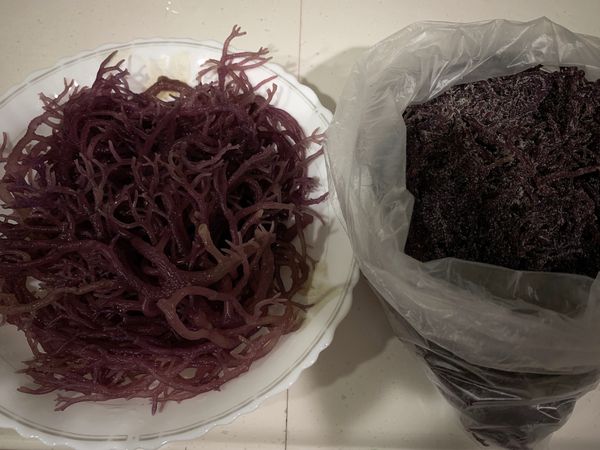 先將紅珊瑚清洗後 泡2-3小時
泡的過程當中 換水2-3次
（左為已泡1.5H）