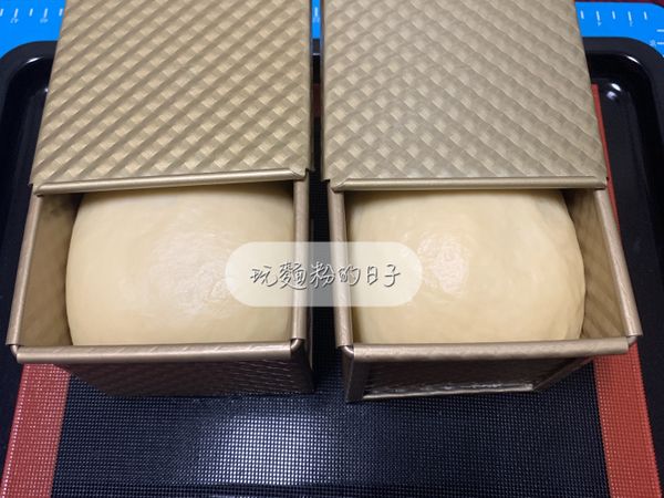 發酵至八分滿後蓋上吐司模上蓋。