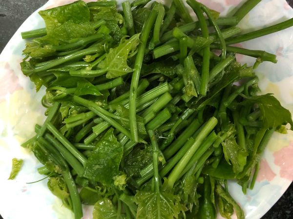 將龍鬚菜洗淨，切成喜歡的大小