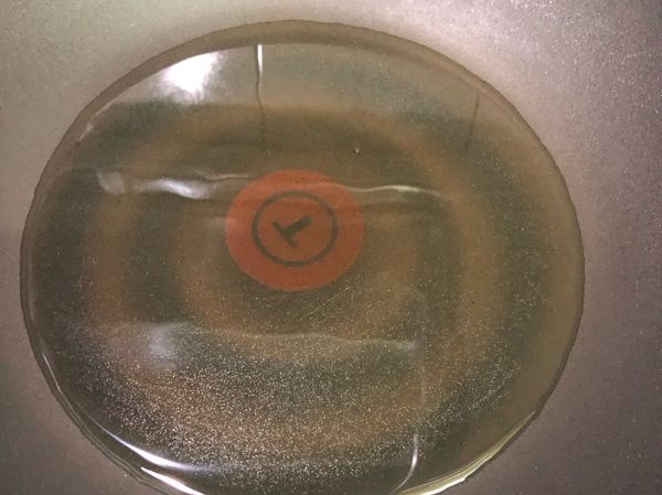 熱油鍋（不使用太多的油，大約雞肉一半的高度