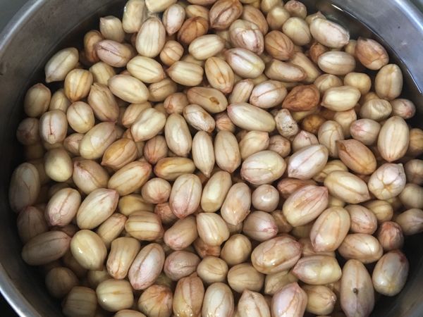 花生用清水像洗米一樣洗淨，加水淹過花生，浸泡一小時⋯
泡好的花生直接放進電鍋，外國加一杯水蒸熟，電鍋開關跳起來後續悶20分鐘⋯