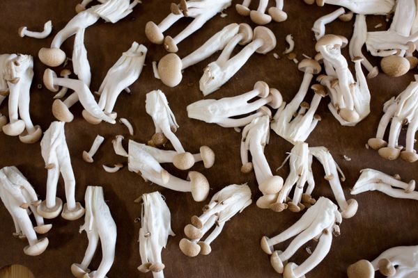 鴻喜菇切除蒂，隨意撥成小株。