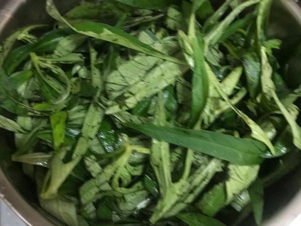 這地瓜葉是自家種的品種不同