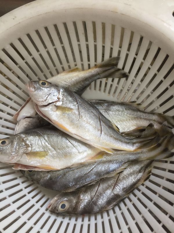 用清水洗乾淨（去鱗去鰓）
魚身切斜刀，抹些許鹽巴備用