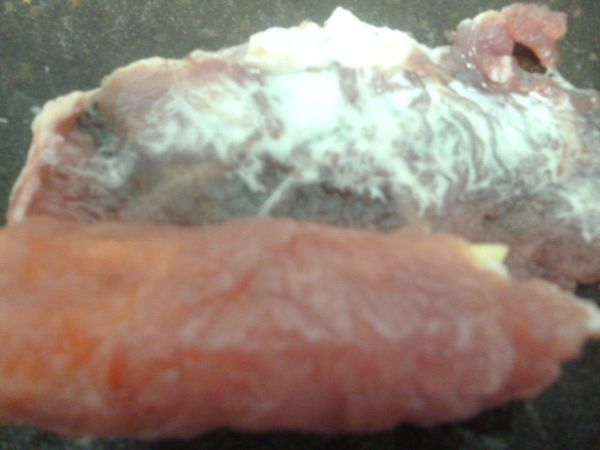 2包入1,在末端抹上少許太白粉水