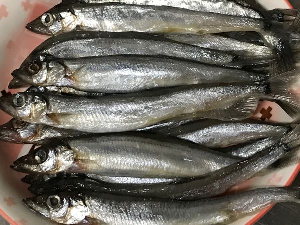 柳葉魚洗淨，撒上白胡椒粉在魚表面❤️