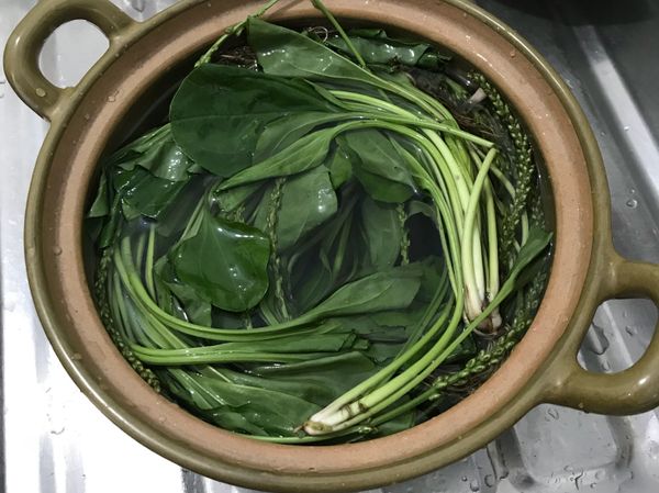 加水至掩沒車前草