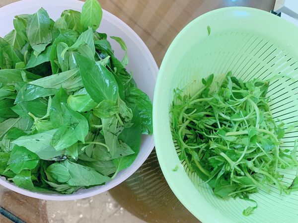 先將羅勒清洗乾淨後，留葉子及嫩莖