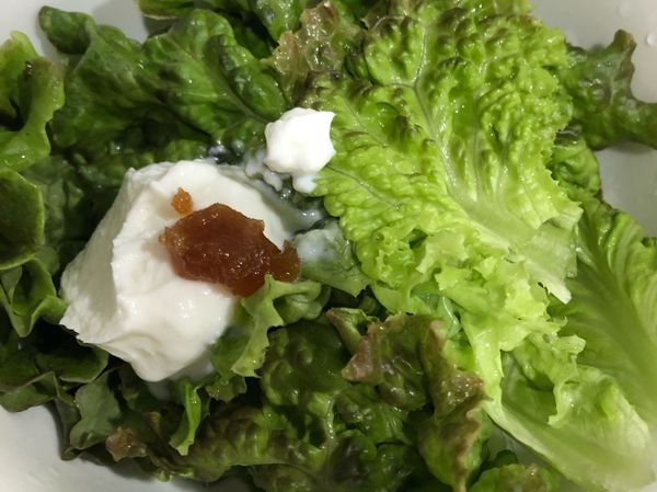 將希臘優格與蜂蜜、生菜攪拌均勻。