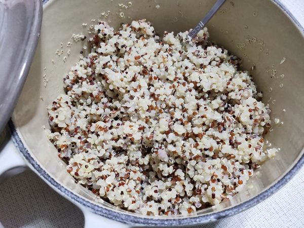 燜煮過的藜麥在鍋中已沒水分,完全是鬆鬆的狀況,待涼裝盒放冷藏,可分次食用!