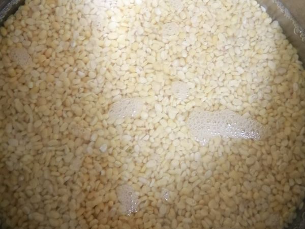 綠豆仁洗淨加入水浸泡放入冰箱48H