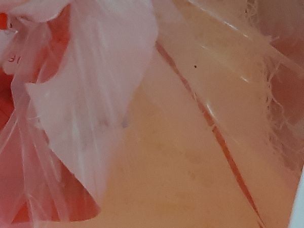 米粉先泡水一下，等軟放入鍋中跟肉一起拌炒，加入小蝦米，香菇和紅蘿蔔。