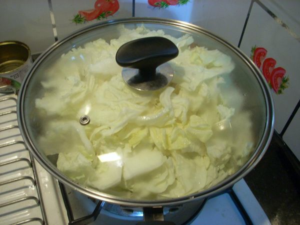 加少許水蓋上鍋蓋悶煮至白菜軟