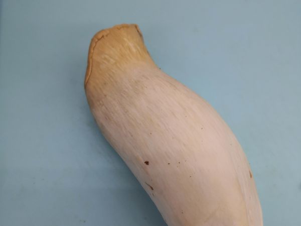 杏鮑菇切片，放入氣炸鍋中