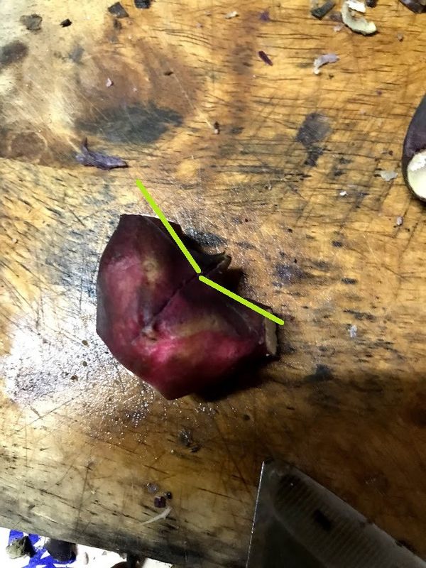 削掉兩角後，沿著綠線切掉，可以看外殼厚度來決定下到厚度，先切一邊就好