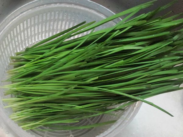 韭菜挑洗乾淨後切成細末備用。