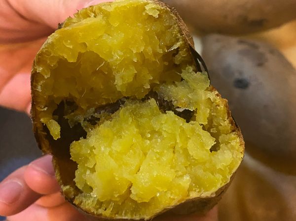 地瓜用乾淨刷子輕輕刷洗乾淨，冷凍45分鐘。
烤箱預熱10分鐘，地瓜（不用退冰）放入烤箱230度60分鐘，跳起後續悶30分鐘即可。