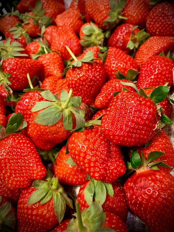 將所有材料放入果汁機，（可加入三個冰塊），打至喜歡的程度就好囉！