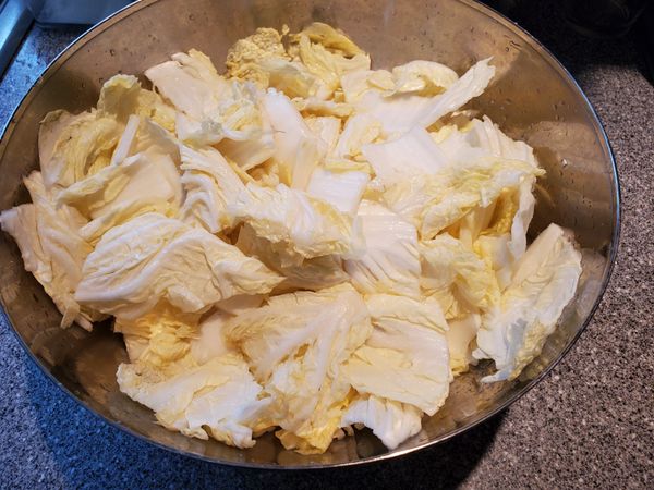 "大白菜"清洗後切段，平均灑上"鹽"，等待90分鐘白菜出水。