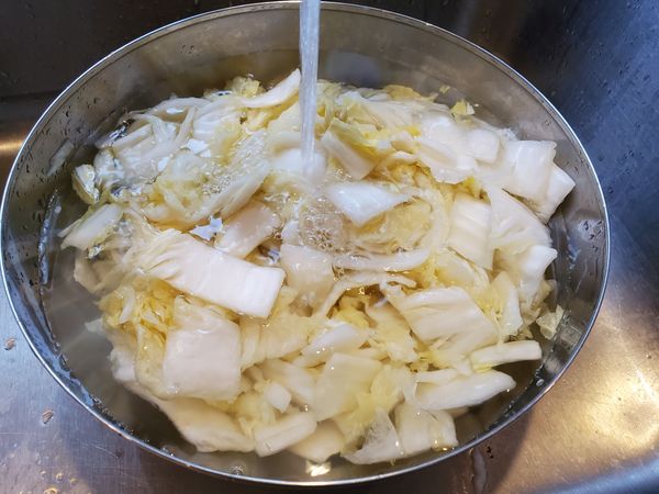 大白菜出水90分鐘後，用清水洗淨。