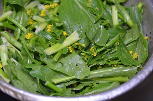 油菜花泡水5分鐘