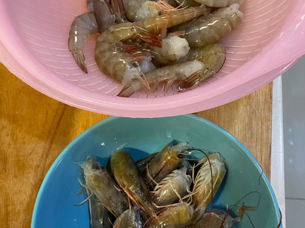 蝦子洗淨分開頭跟身體