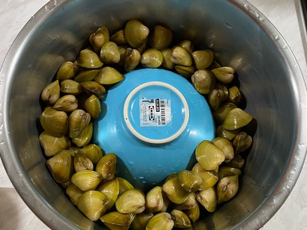 蜆買回來之後先吐沙至少2小時，碗倒蓋至電鍋內，周圍鋪上蜆，薑片+拍開的蒜頭些許幫助去腥，倒一點米酒加味