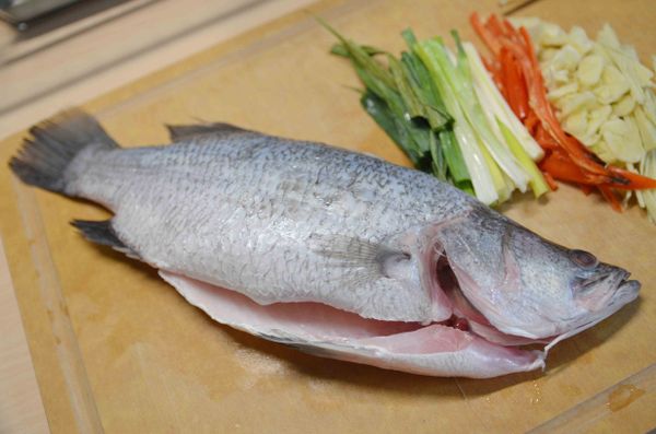 蔥切段、辣椒切絲、蒜切碎、薑切絲，鱸魚洗淨且擦乾。