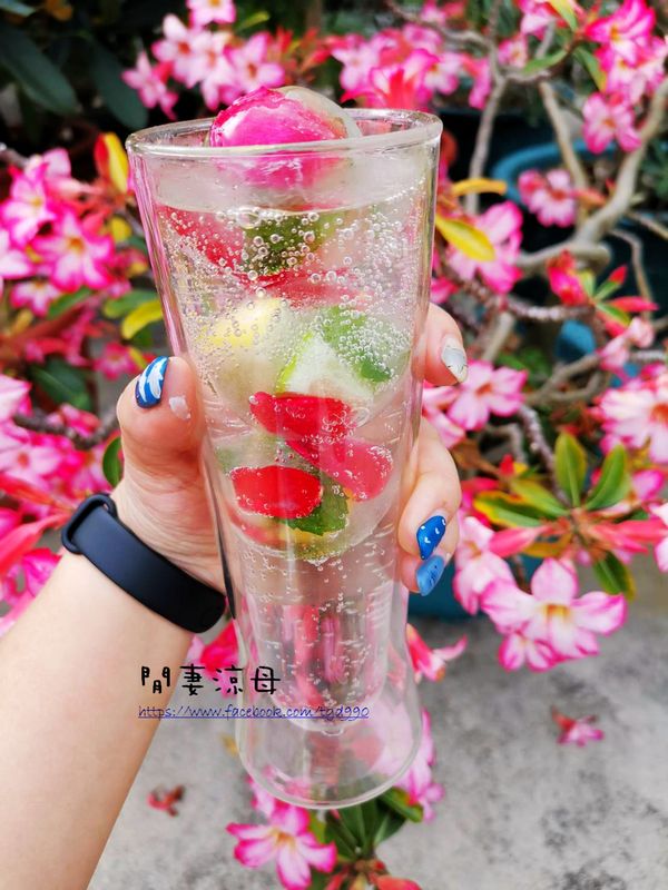 冰好的玫瑰檸檬薄荷冰塊，加上一些氣泡水或雪碧，又清涼又解暑
