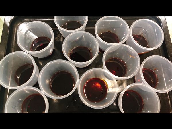 將糖液倒入布丁杯中，放涼之後放置冷凍庫使糖液凝固