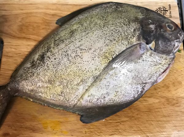 蛋黃均勻塗抹在魚的全身；